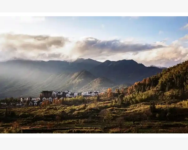 冬季清肺止咳，水果养生疗愈