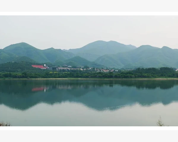 冬季清肺药品：呵护您的健康呼吸之道